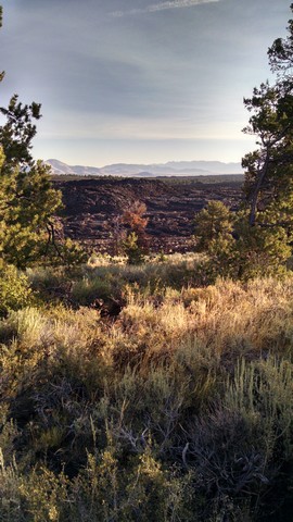 IMG_20150731_072256063_HDR