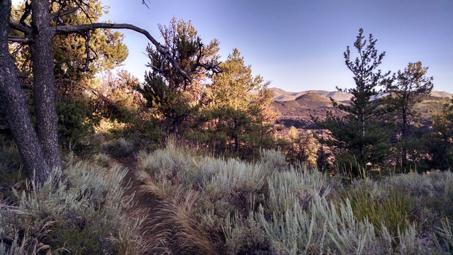 IMG_20150731_072551155_HDR IMG_20150731_072551155_HDR